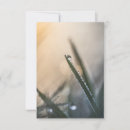 Search for droplet cards Dewdrop