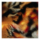 Search for wildlife posters Cat