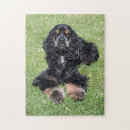 Search for cocker spaniel puzzles Dog