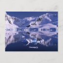 Search for antarctic postcards Blue