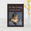 Search for gamer birthday cards Humour