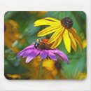 Search for bee photo mouse mats Insects