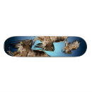 Search for prey skateboards Predator