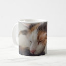 Search for calico cat mugs Pet