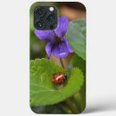 Search for ladybug cases Beetle