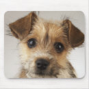 Search for cani mouse mats Dog