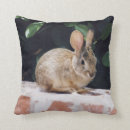Search for animals hare cushions Bunnies