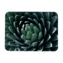 Search for perennials magnets Garden
