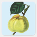 Search for apple trees stickers Food