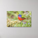 Search for wild one canvas prints Usa