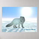 Search for arctic fox posters Wildlife