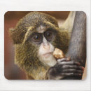 Search for monkey pic mouse mats Monkeys