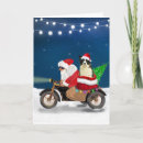 Search for border collie christmas cards Animal