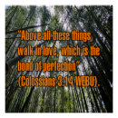 Search for colossians 3 posters Scripture