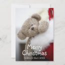 Search for representation cards Teddy bear
