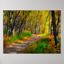 Search for forest walk art Fall