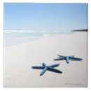 Search for blue sea shell tiles Starfish