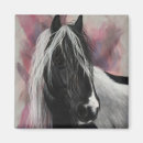 Search for gypsy magnets Pony