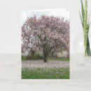 Search for arrive cards Trees