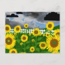 Search for picket postcards Flowers