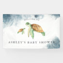 Search for baby sea turtle posters Coastal