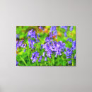 Search for bluebell canvas prints Forest