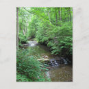 Search for creek fall postcards Park