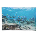 Search for tropical pillowcases Underwater