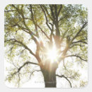Search for forest spirit stickers Nature
