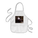 Search for bald aprons Wildlife