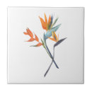 Search for paradise tiles Watercolor