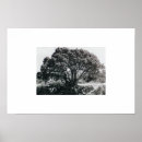 Search for junipers posters Nature