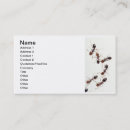 Search for ant business cards Extermination