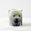 Search for poodle dog mugs Cute
