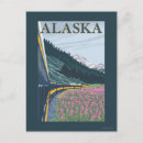 Search for fireweed Collection