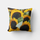 Search for for sale cushions Superstock
