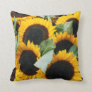 Search for danita delimont cushions Close up