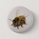 Search for hive accessories Nature
