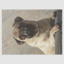 Search for fine art tissue paper Elegant