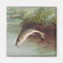 Search for trout magnets Fisherman