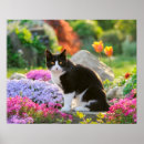 Search for pink kitty posters Colourful