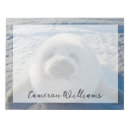 Search for cute seal pup Animals in the wild