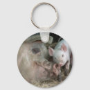 Search for animal care key rings Cute