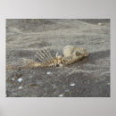 Search for skelton posters Bones