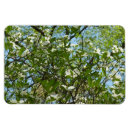 Search for tree branches magnets Floral