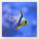 Search for saltwater coasters Aquarium