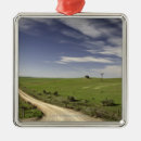 Search for agriculture christmas tree decorations Landscape