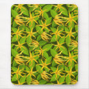 Search for exotic mouse mats Summer