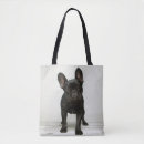 Search for studio shot bags Dog