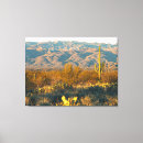 Search for desert cactus canvas prints Southwest